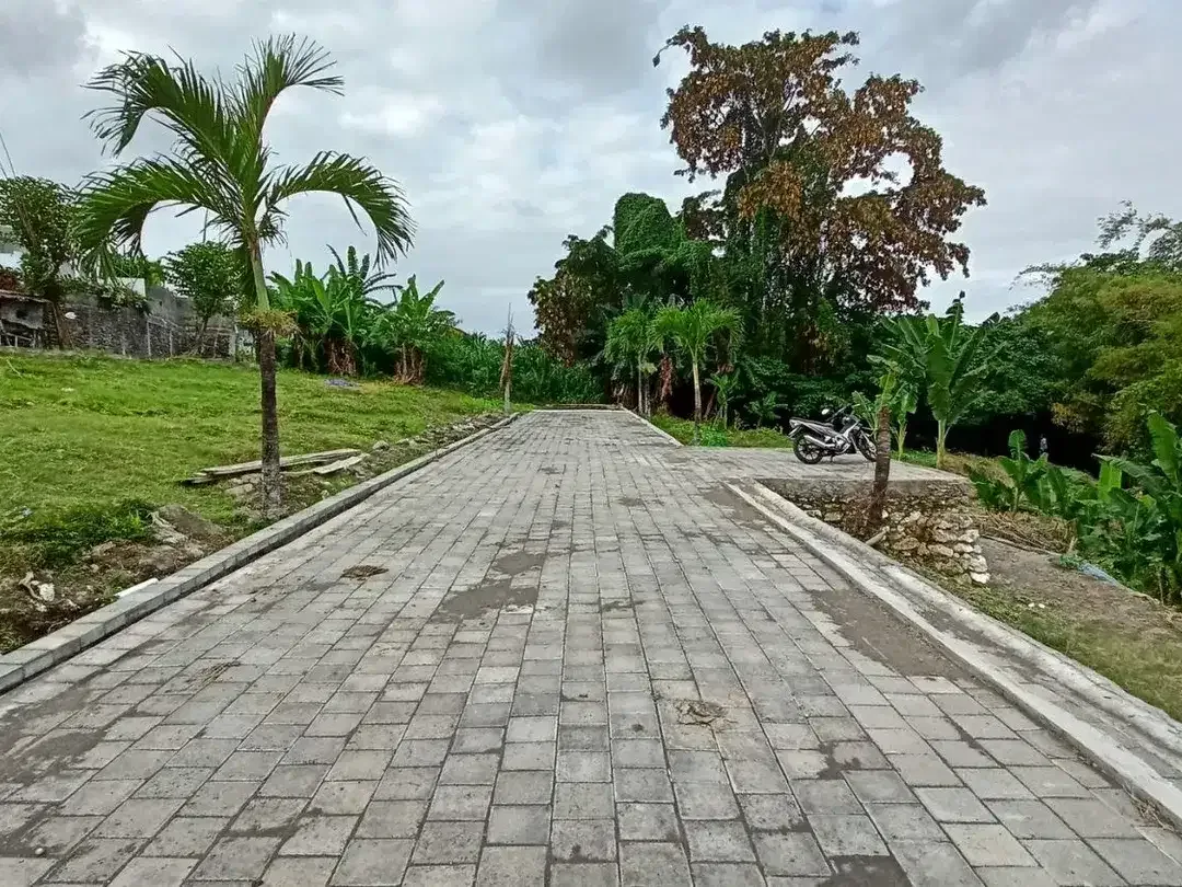 Freehold - Premium Land Available for Sale In Canggu - Image 2 of 7