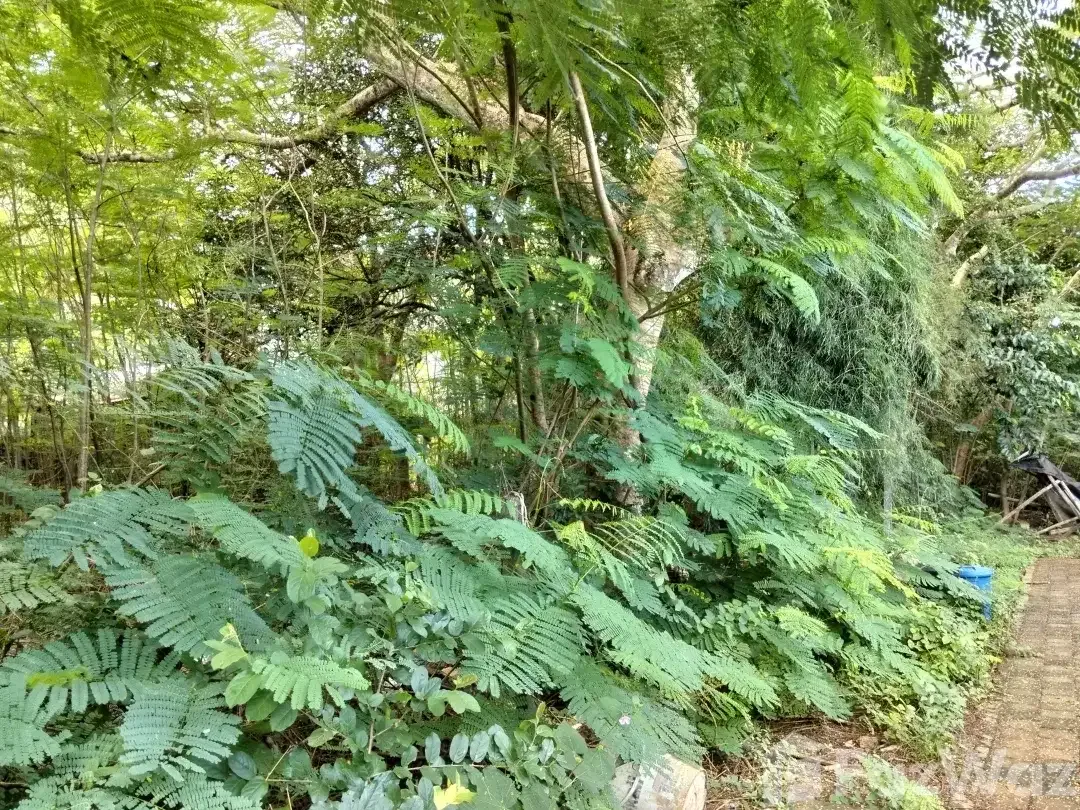 Land for sale in Uluwatu, Bali - Image 3 of 5