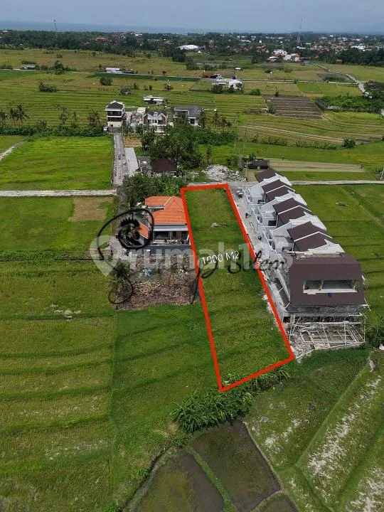 Tanah Premium 10 Are Zona Kuning Nyanyi Tabanan Bali - Image 3 of 4