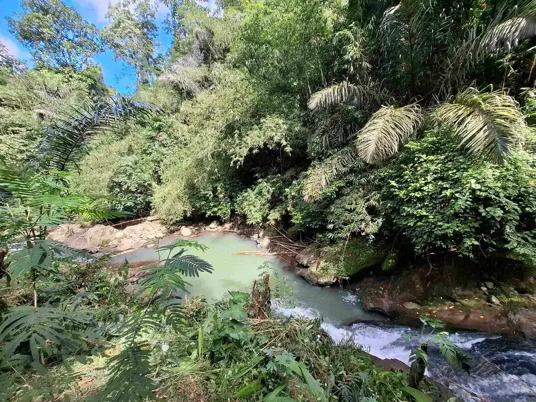 tanah strategis berisi air terjun yang sangat unik di tabanan harga murah - Image 8 of 10