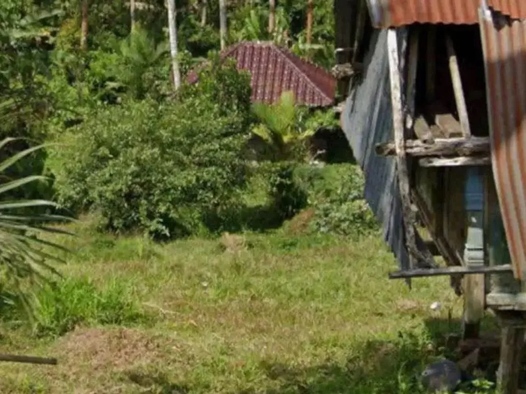 TANAH BONUS BANGUNAN DI KETIMA TABANAN - Image 4 of 9