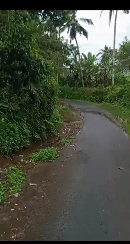 Land 1,2ha for Sale above Telaga Waja River Karangasem Bali - Image 5 of 10