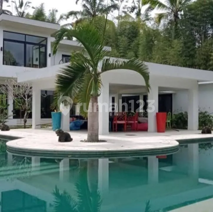 Villa Luas Ada Pool View Alam Strategis Dekat Wisata Tegallalang - Image 3 of 4