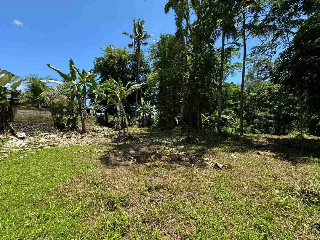 Siap Bangun Vila, Tanah Datar View Sawah di Ubud Gianyar - Image 8 of 10