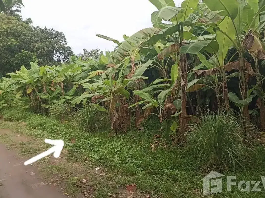 Land for sale in Mengwi, Bali - Image 2 of 4