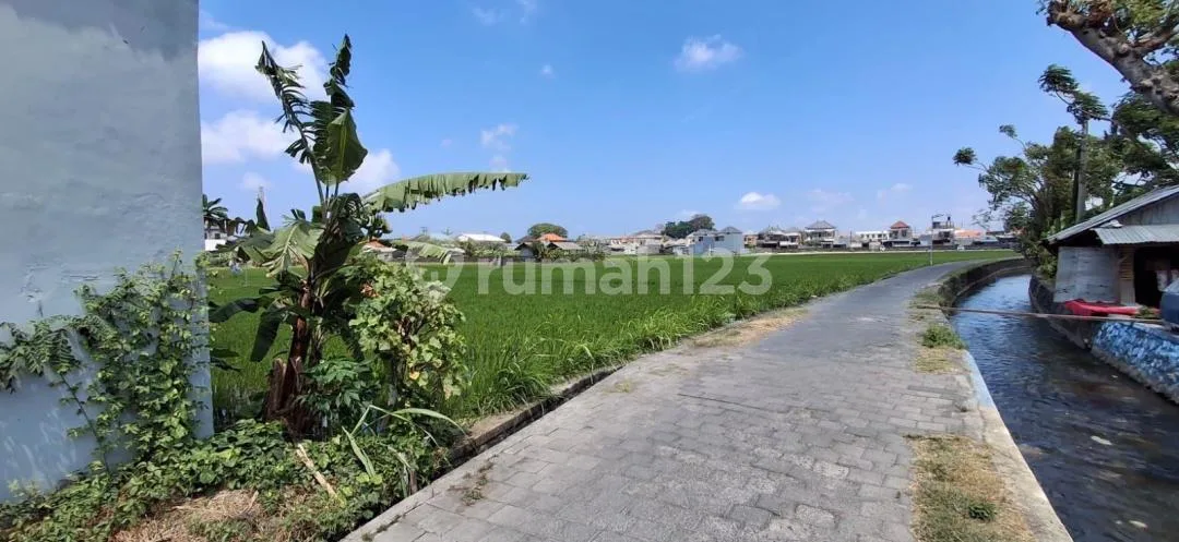 Dijual Tanah Bonus Rumah View Sawah di Pemogan, Densel - Image 1 of 4