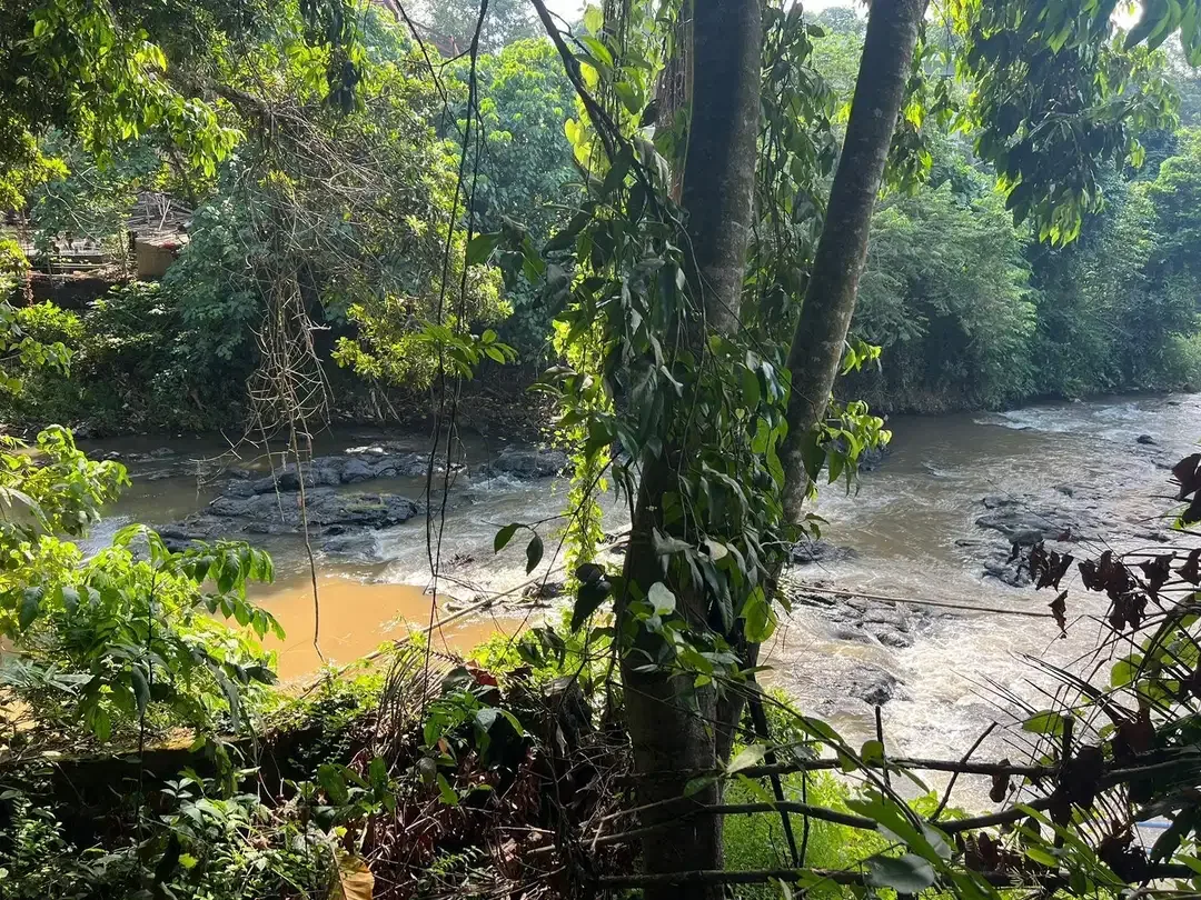 DIJUAL TANAH LOS SUNGAI NYANYI ZONA KUNING - Image 5 of 10