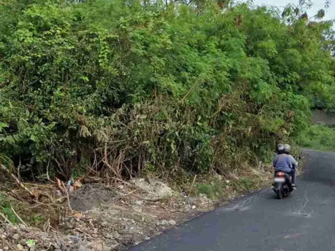 Di kontrak tanah bagus pinggir jalan pura masuka Ungasan sangat cocok untuk usaha dll - Image 4 of 5