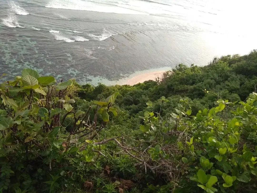 Cliff Land For Sale in Bali Cliff Tanah Tebing Bali Cliff - Image 7 of 10