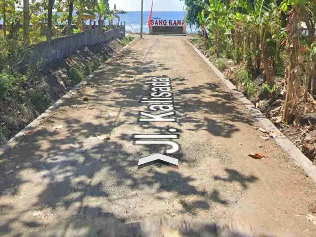 BEACHFRONT LAND for sale Jual tanah 53,92are di TEPI PANTAI Kalisada Buleleng Bali - Image 7 of 10