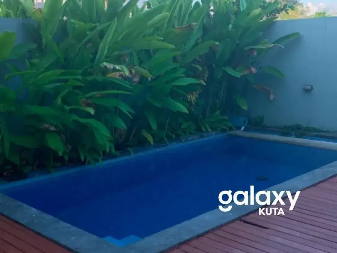 3BR Minimalist Villa with Rice Field Views in Kerobokan - Image 2 of 9