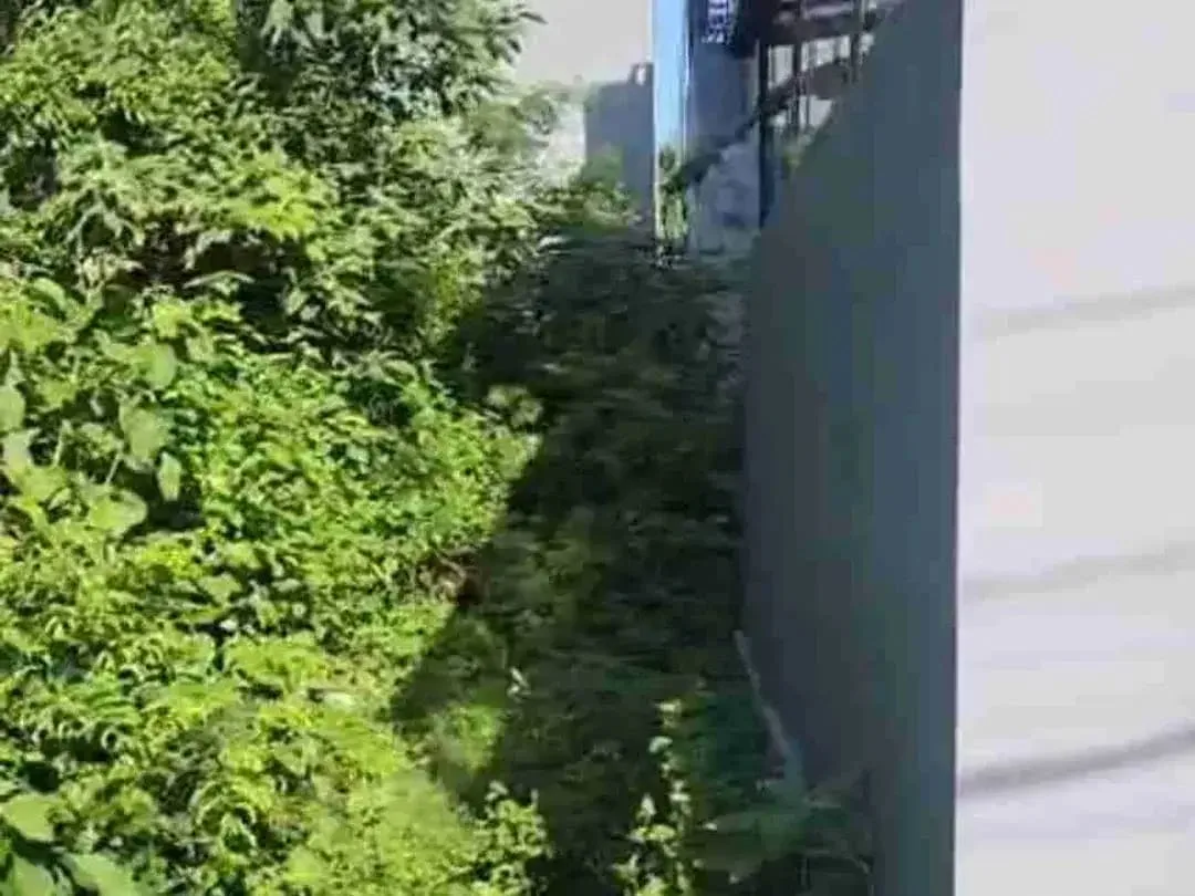Tanah hook 500m2 taman mumbul Nusa 2 idr 7 jt/m2 - Image 6 of 9
