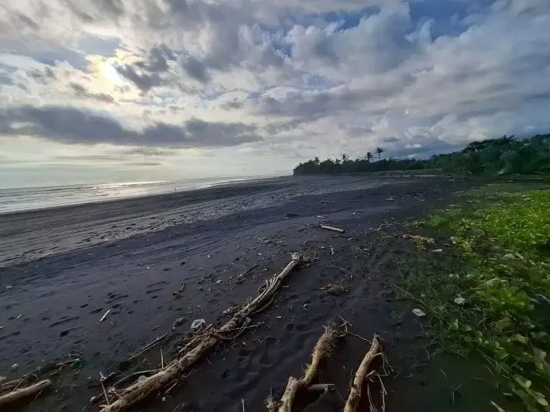Dijual tanah murah los pantai di pasut tabanan bali - Image 1 of 8