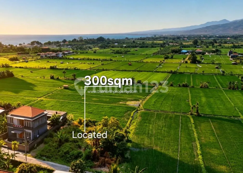 Tanah Eksklusif Dijual - Lovina, Bali Utara - Image 3 of 4
