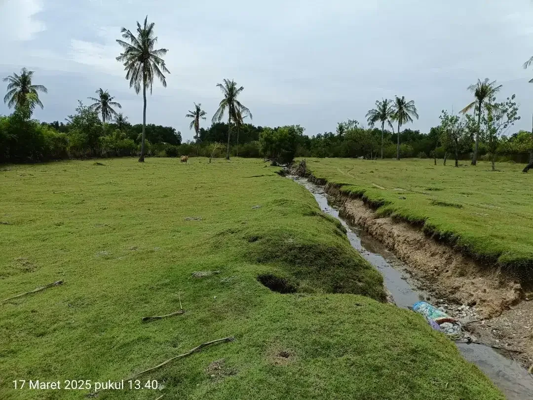 TANAH KOSONG DI PANTAI SUMBERKIMA SINGARAJA COCOK UNTUK INVESTASI - Image 2 of 10