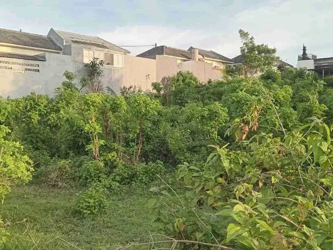 dijual tanah 15 are IDR 425 juta/are view Gwk ungasan Badung Bali - Image 2 of 5