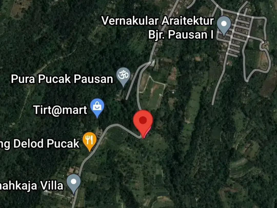 Jual TANAH 2.4 hektar di Payangan Ubud Gianyar Bali - Image 3 of 10