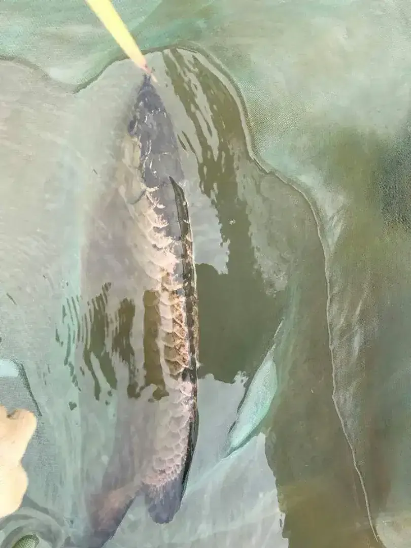Arwana / Arowana Crossback 24K (INDUKAN) - Image 2 of 4