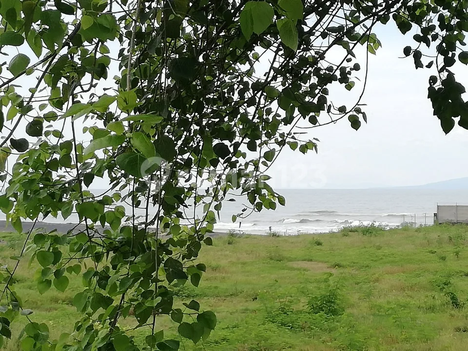 Tanah Los Pantai, Beachfront , Luas 7000M2, SHM, di Gianyar, Bali - Image 4 of 4
