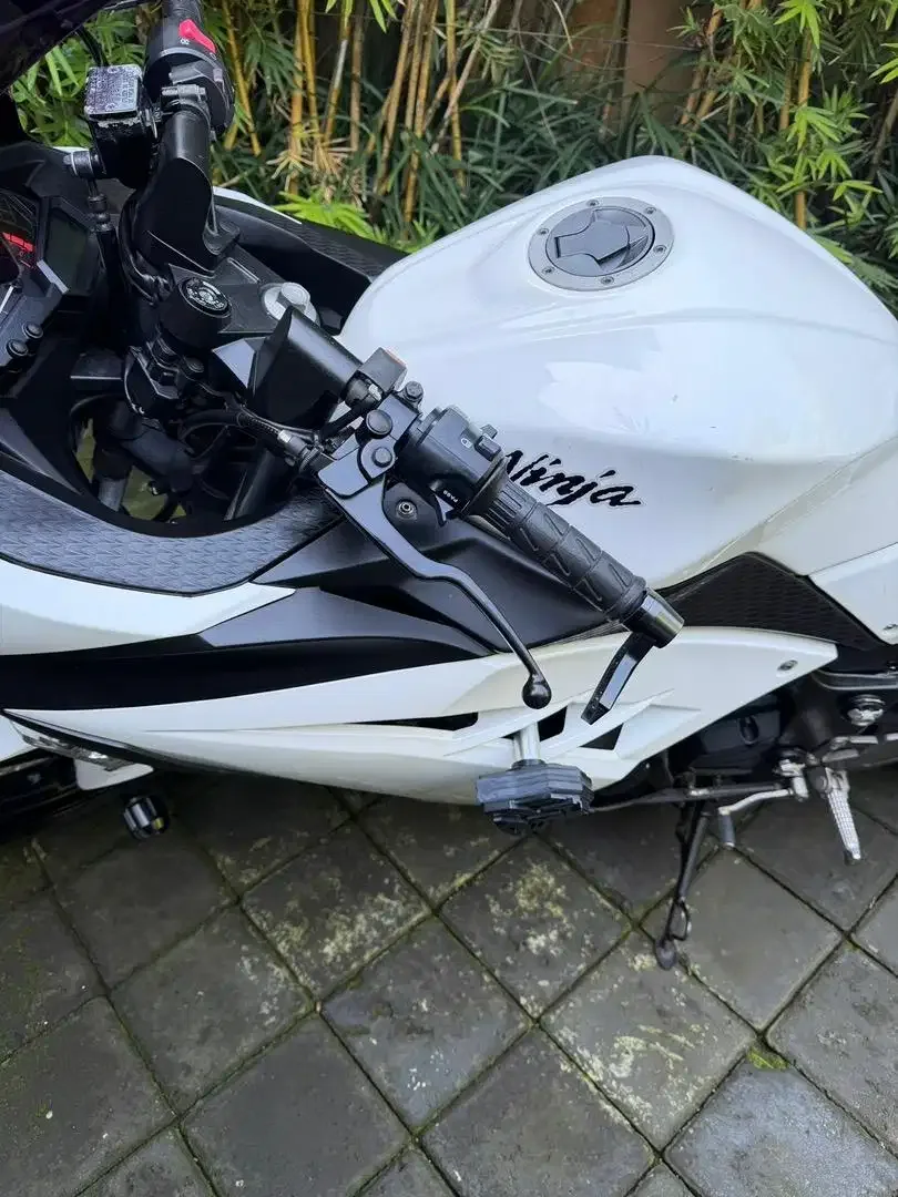 Ninja fi 250 tahun 2016 - Image 8 of 9