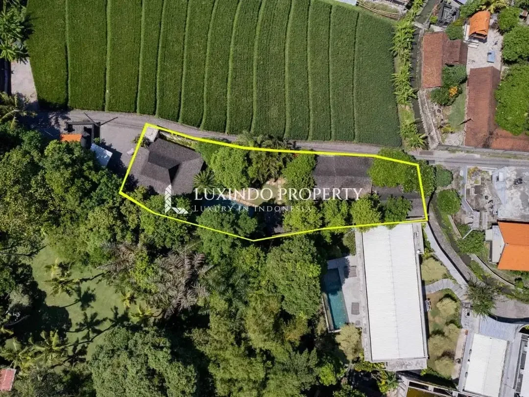 DIJUAL VILLA DENGAN 2 KAMAR TIDUR DI PERERENAN - Image 2 of 10