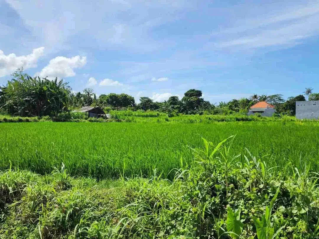 Tanah Kavling Lokasi Strategis, Sudah Banyak Tetangga Perumahan di Pering, Blahbatuh, Gianyar dekat Denpasar & Sanur - Image 9 of 10