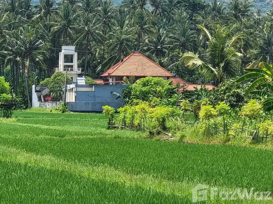 6 Bedroom Villa for sale in Lovina, Bali - Image 6 of 10