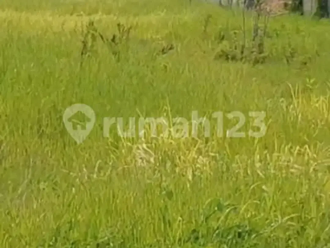 Exclusive Land 400 Meter & 1200 Meter For Lease Near Pantai Lima Beach - Prime Canggu Location - Pererenan Canggu Bali - Image 3 of 5