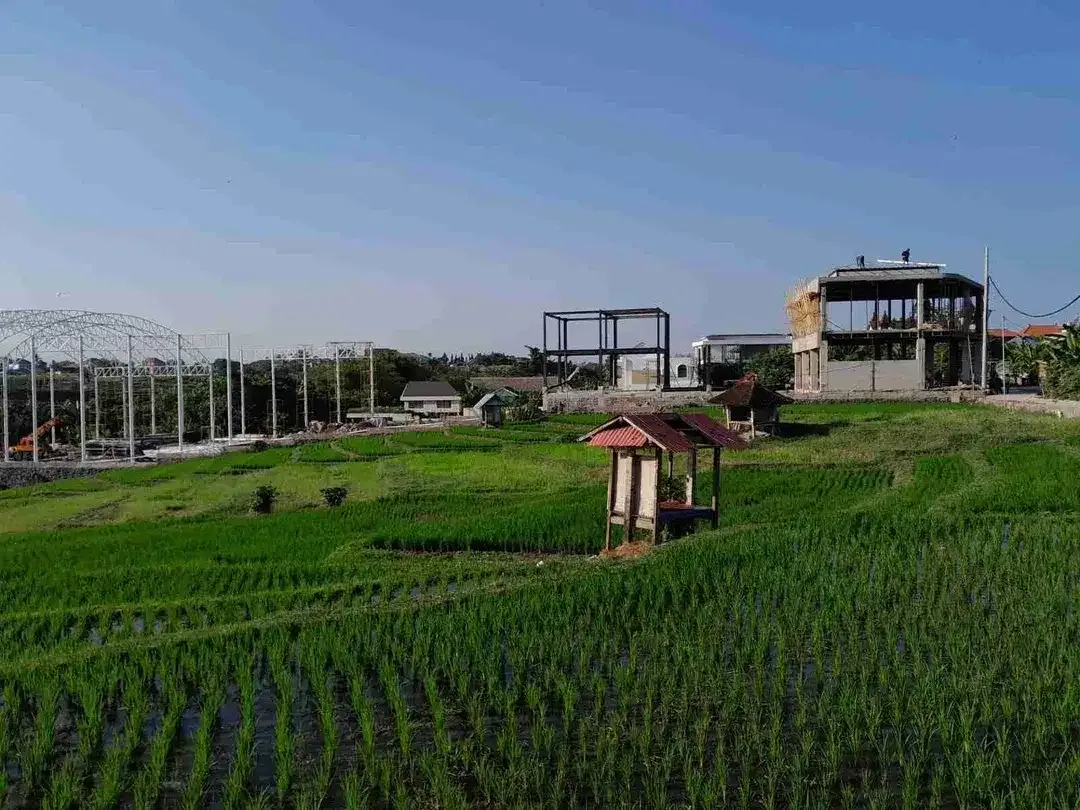 Dijual Tanah full view sawah super langka siap Bangun Di jalan padonan pegending Badung Bali - Image 3 of 6