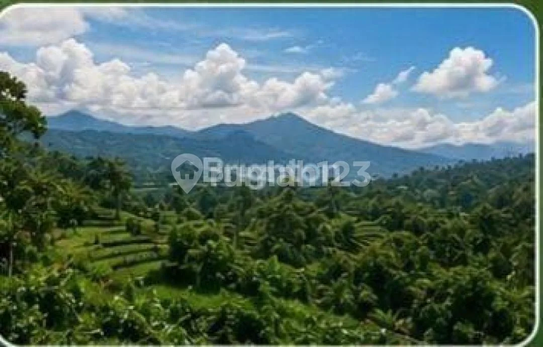 Tanah Luas dan Strategis di Petang Cocok Utk Villa dan Investasi - Image 2 of 3