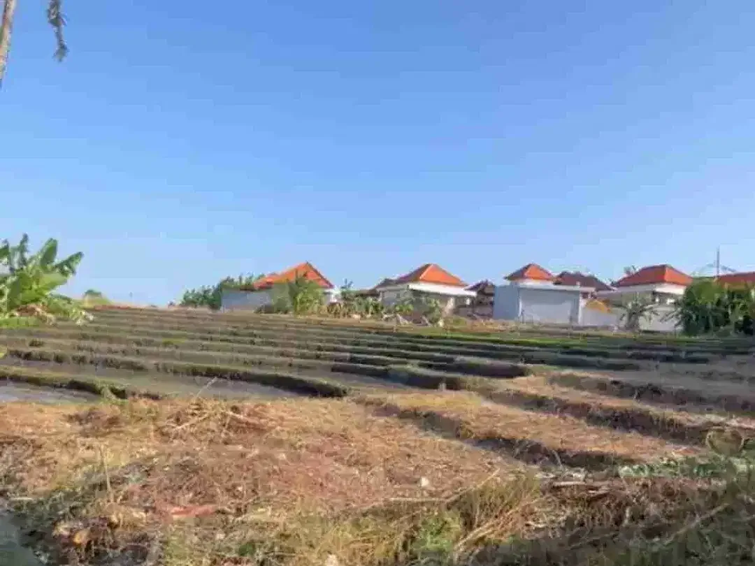TANAH JALAN UTAMA SUBAKDAKSINA CANGGU KAYUTULANG UTARA - Image 5 of 6