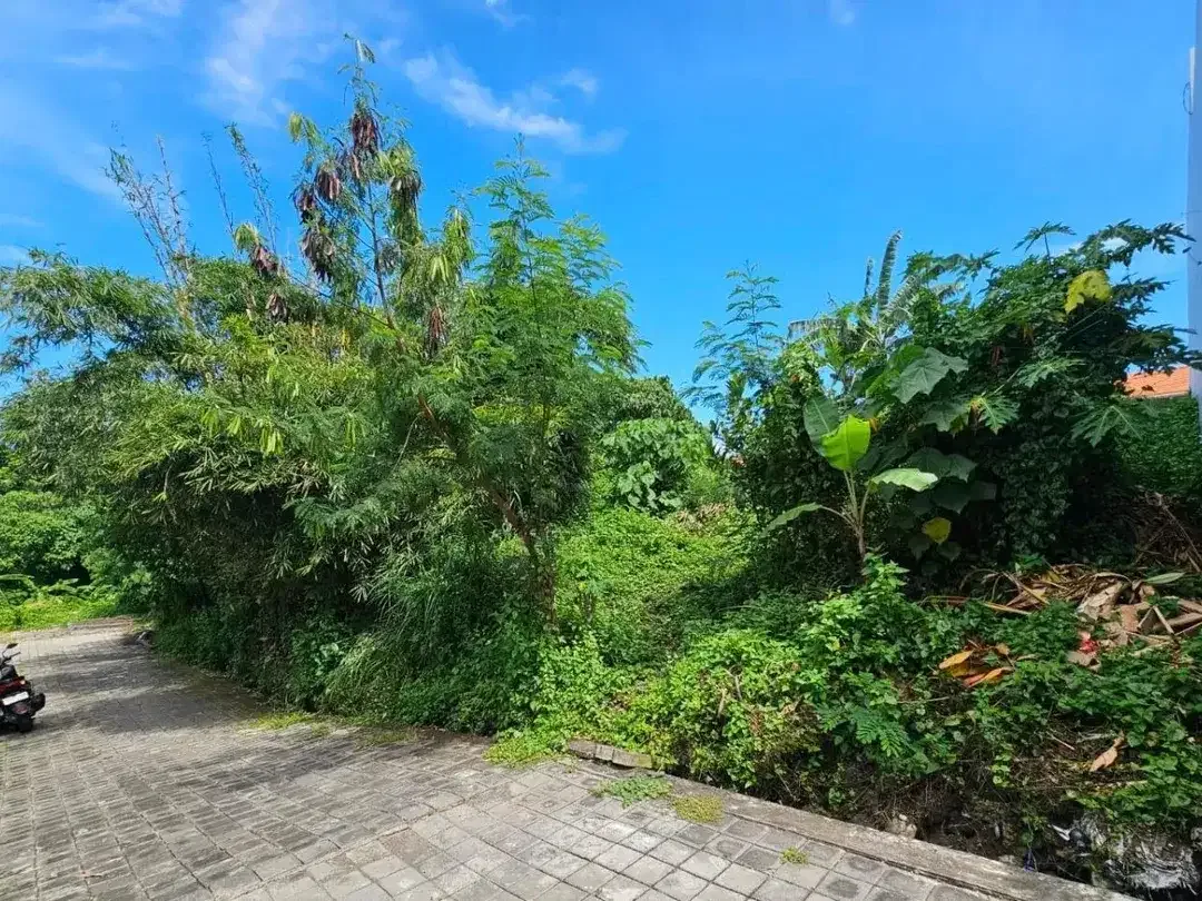 Tanah padang linjong canggu - Image 6 of 8