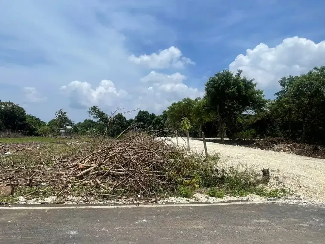 TANAH KAVLING DEKAT KAMPUS UNUD JIMBARAN, DIJUAL CEPAT. - Image 4 of 6