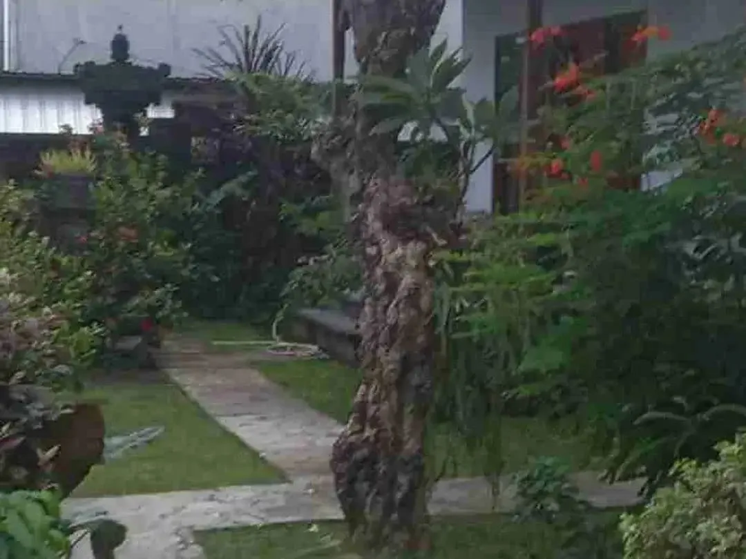 Luxury Villa Classic 10 Menit ke Sanur Dekat Living World - Image 7 of 10