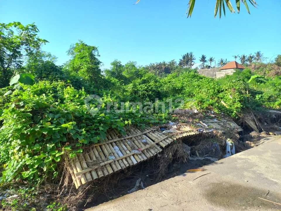 Dijual Cepat Tanah Strategis di Keramas - Image 2 of 4