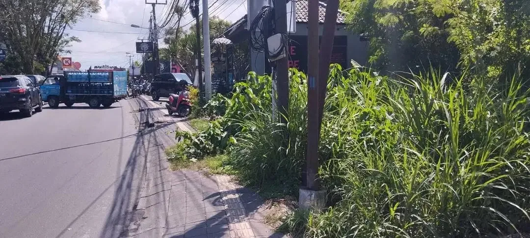 Tanah Komersil 550m2 di Jalan Raya Utama Canggu Bali Cocok Usaha - Image 3 of 10
