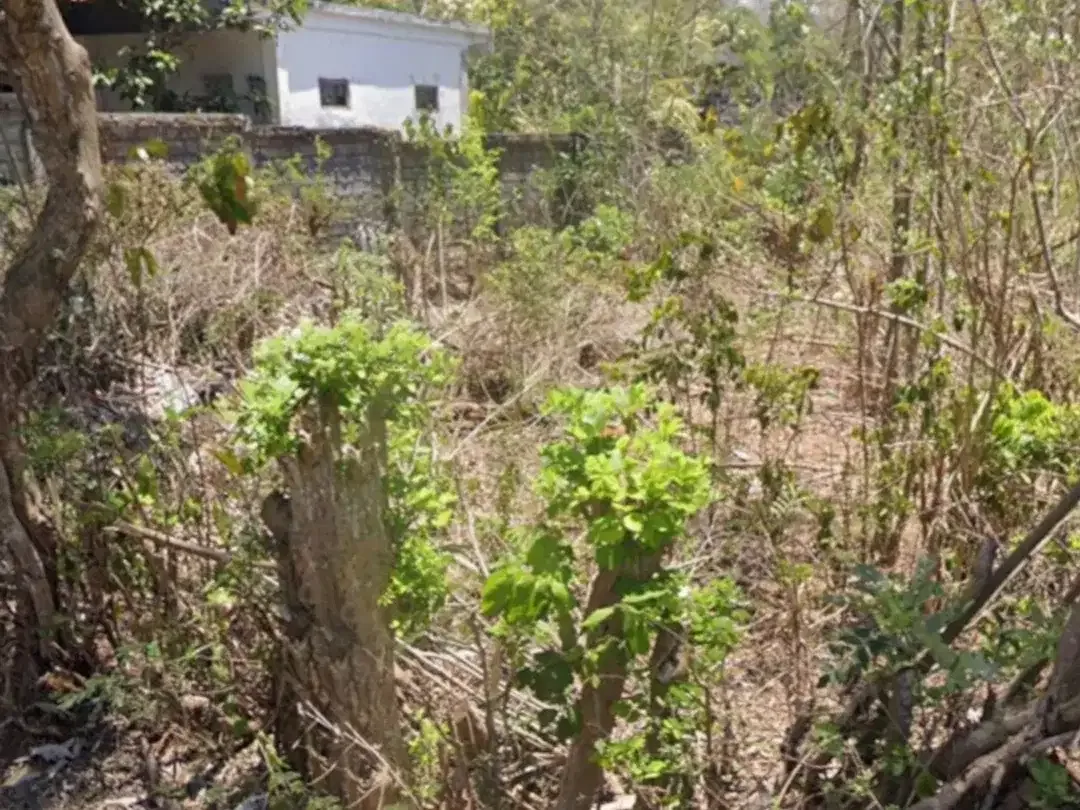Land For Leasehold on the Main Road Belimbing Sari Pecatu - Image 2 of 3