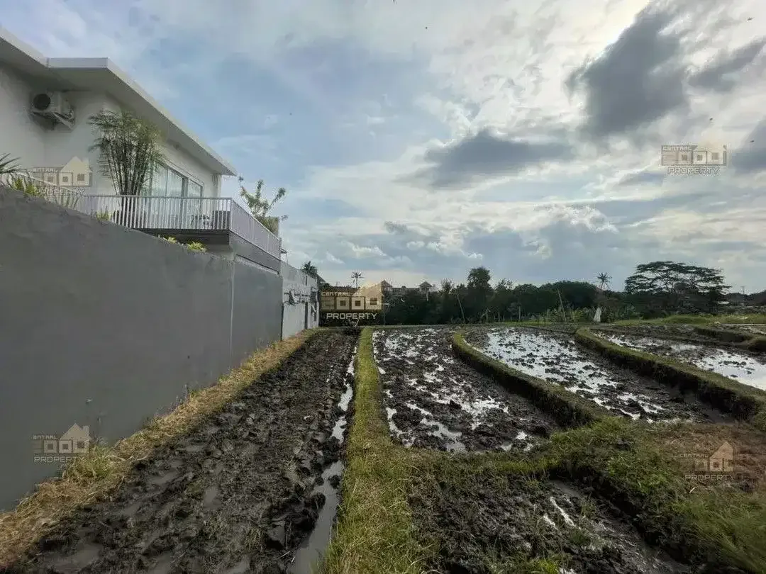 Freehold Land Canggu – Lokasi Strategis & Scenic Ricefield View - Image 7 of 10