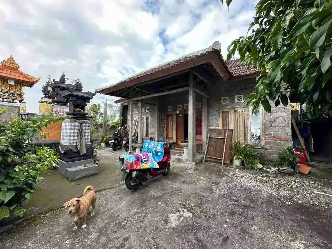 Dijual Cepat Tanah 200m2 Bonus Bangunan Di Jl Toyaning Ungasan - Image 4 of 10
