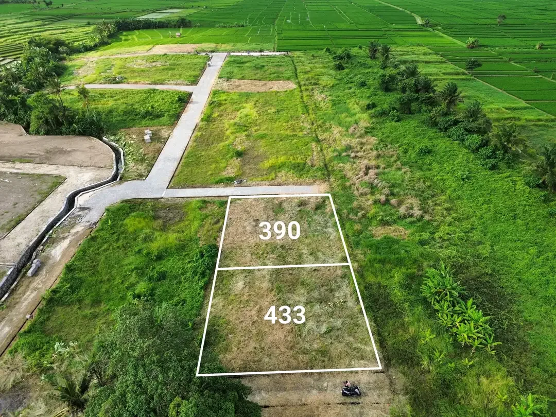 KEDUNGU LAND FOR SALE NEAR NUANU LUNA BEACH CLUB - Image 3 of 10