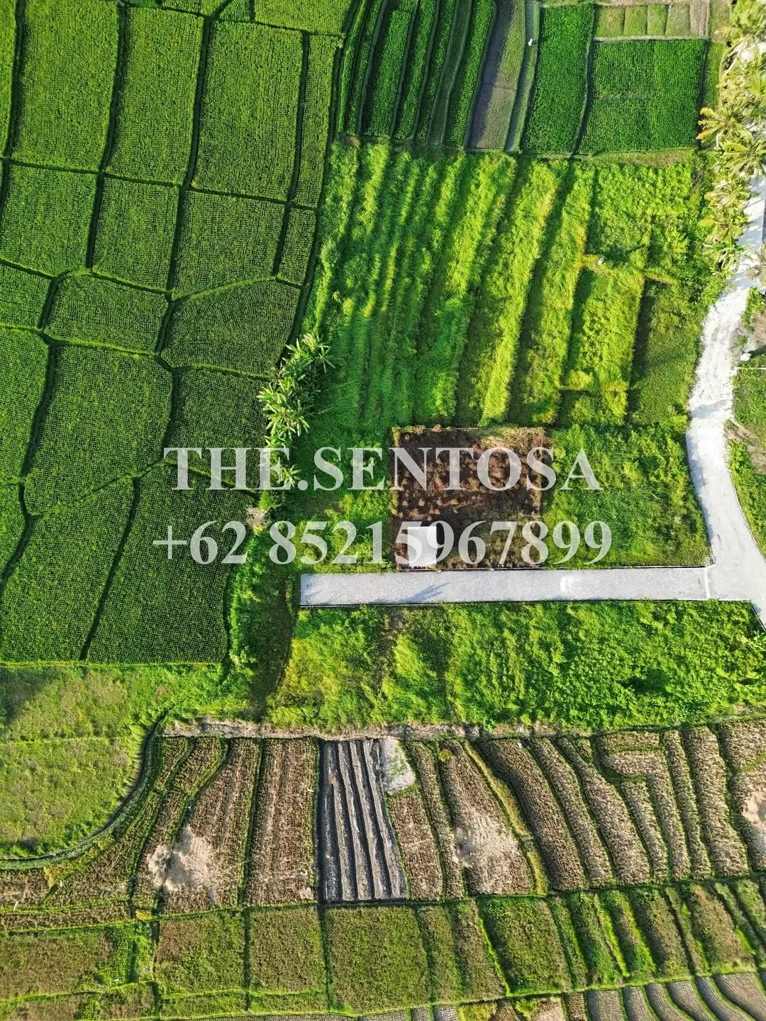 TANAH SIAP BANGUN KEDUNGU dekat NUANU - Image 7 of 9