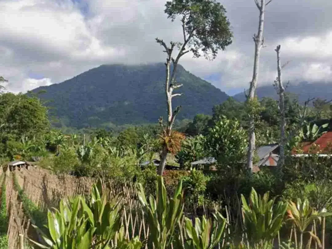 Tanah Kebun di Baturiti Bali Dekat Village Above The Clouds - Image 2 of 4