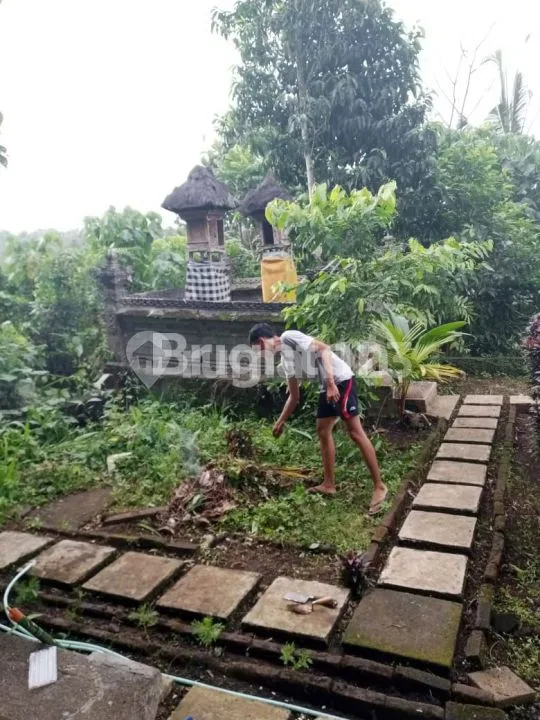 Tanah di Samping Hot Spring Yeh Panes Tabanan - Image 1 of 4