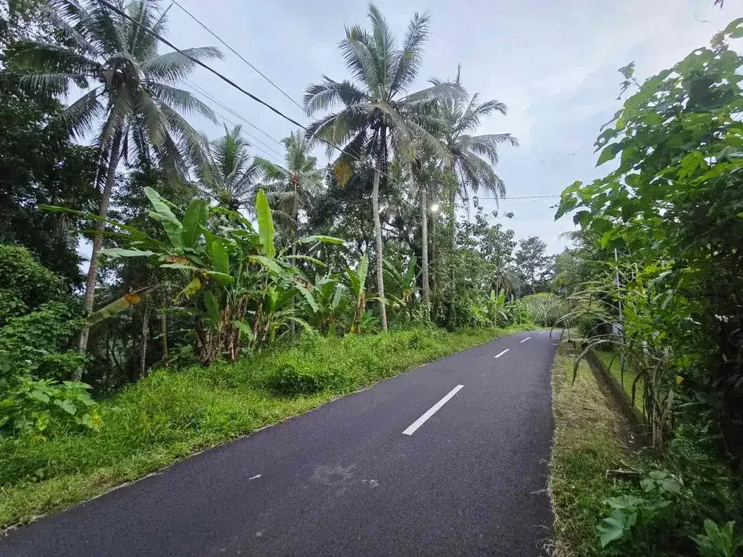 DIJUAL TANAH MURAH DI TABANAN
Batuaji - Image 6 of 10