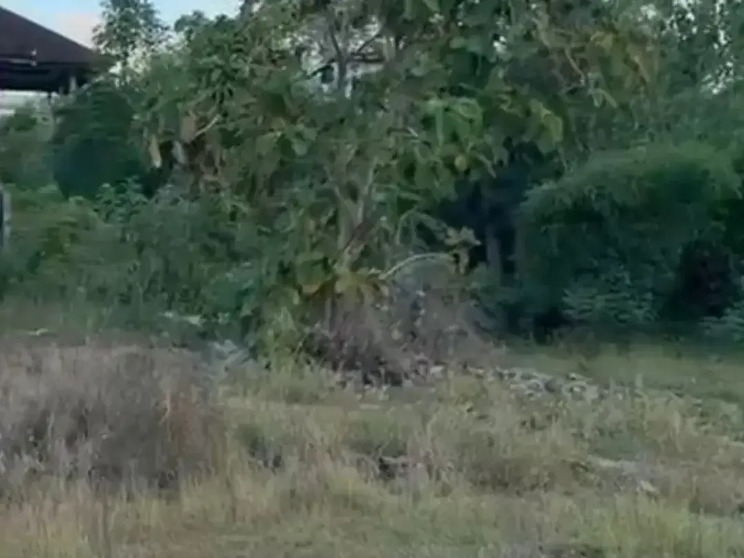 TANAH STRATEGIS DI TAMAN SARI NUSA DUA BADUNG - Image 5 of 7