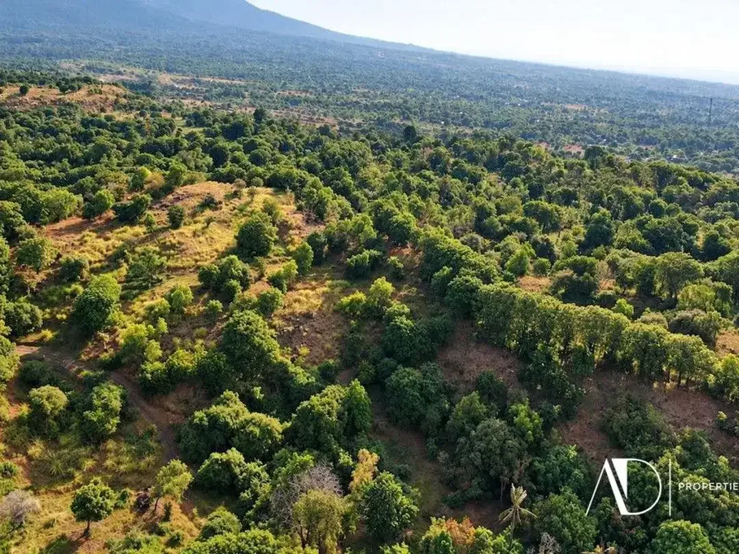 FREEHOLD OCEAN VIEWS LARGE PLOT OF LAND IN TULAMBEN - Image 2 of 7