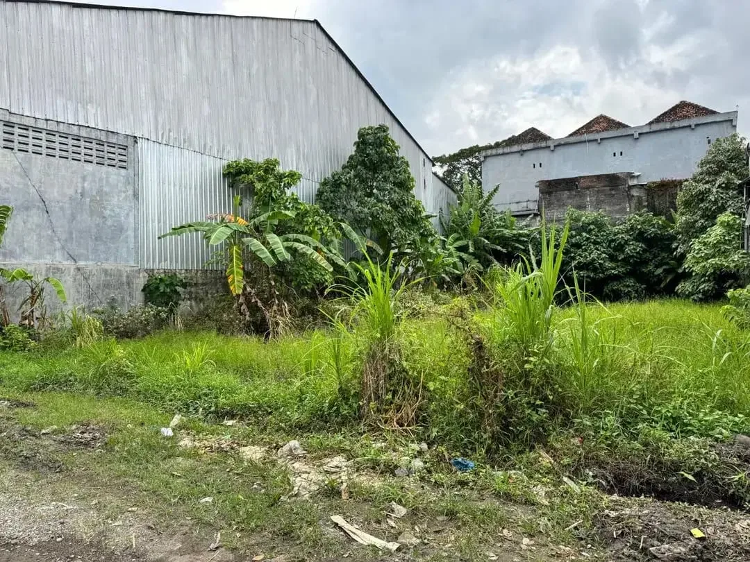 Di jual tanah premium bypass soekarno tabanan sebelah mie gacoan, sangat cocok untuk kos kosan, rumah / kantor / gudang kecil - Image 7 of 7