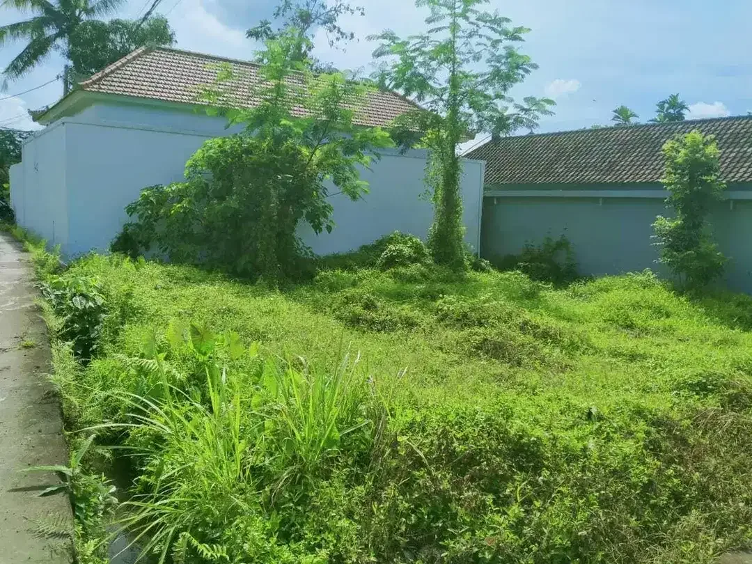 Scenic 2 Are Leasehold Land in Ubud with Rice Field View - Image 7 of 10
