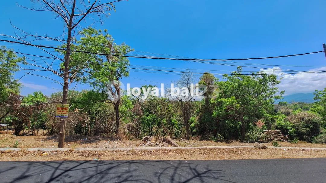 Tanah 15.000MÂ² / Land In Tegallinggah, Buleleng, Bali - Image 4 of 4