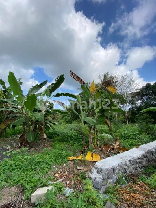 Flash Sale Drop 4.5Jt/M2 - Cocok Dibangun Villa Kavling Siap Bangun Greenlot Residence Munggu Bali 11 Are SHM River View - Image 1 of 4